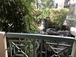 West Bay Condominium (D5), Condominium #283573821